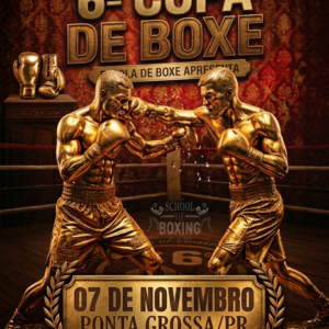 3º Lote - 6ª Copa de Boxe2